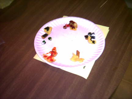 The Assorted Color Food  Plater